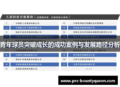 青年球员突破成长的成功案例与发展路径分析