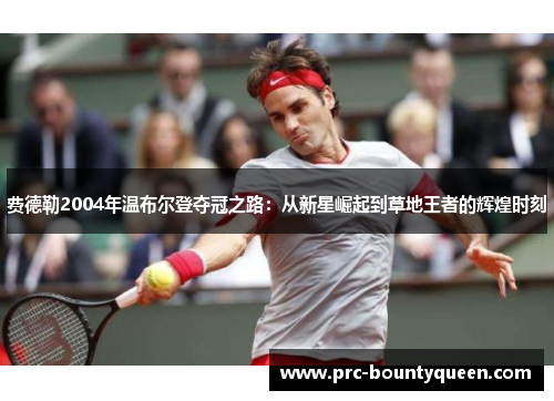 费德勒2004年温布尔登夺冠之路：从新星崛起到草地王者的辉煌时刻